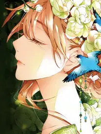 午夜免费网站 海贼王 漫画改编